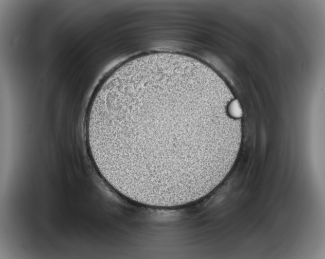 X0000085240848200703301746