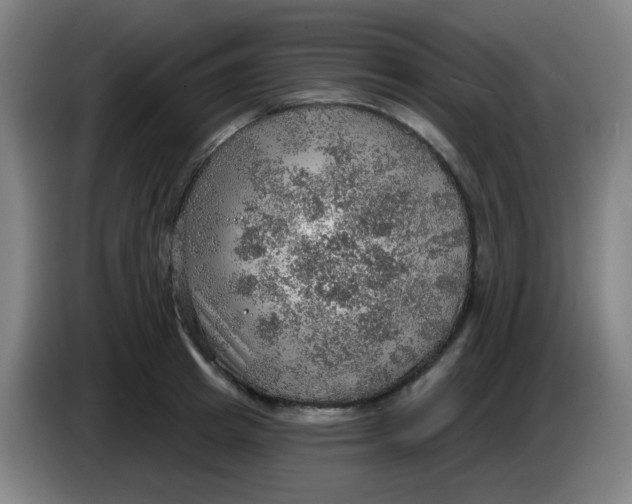 X0000085240849200703301746