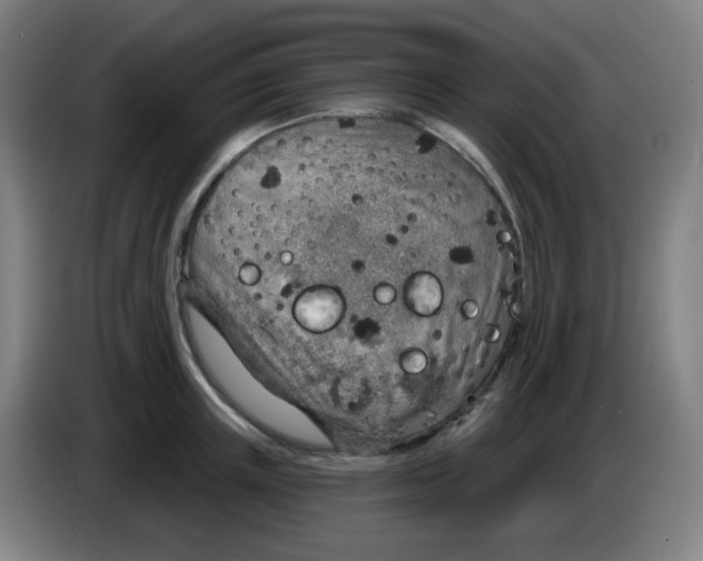 X0000085240851200703301746