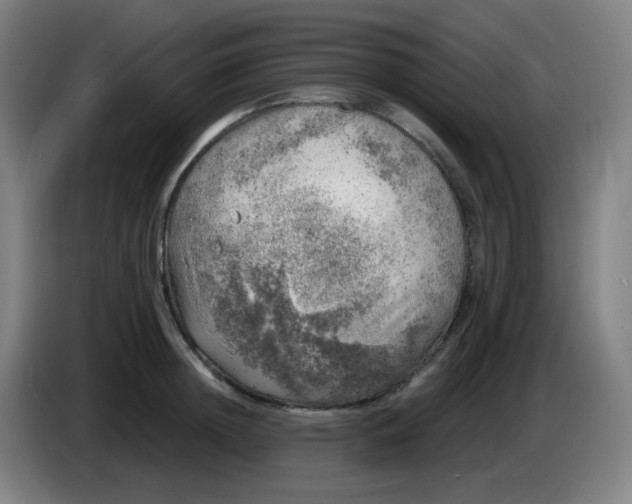 X0000085240852200703301746
