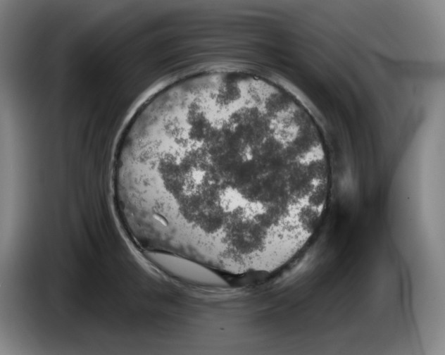 X0000085240853200703301746