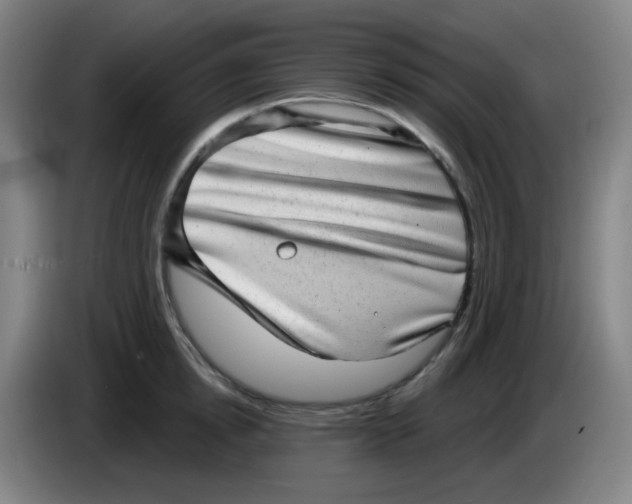 X0000085240854200703301746
