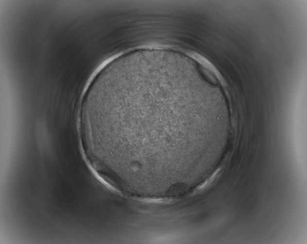 X0000085240855200703301746