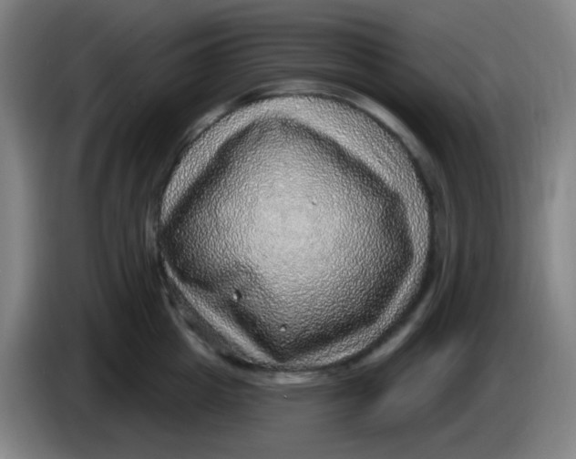 X0000085240857200703301746