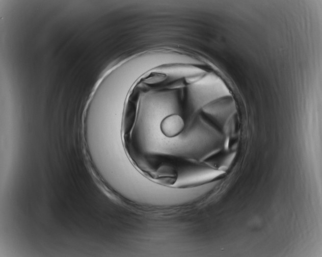 X0000085240858200703301746