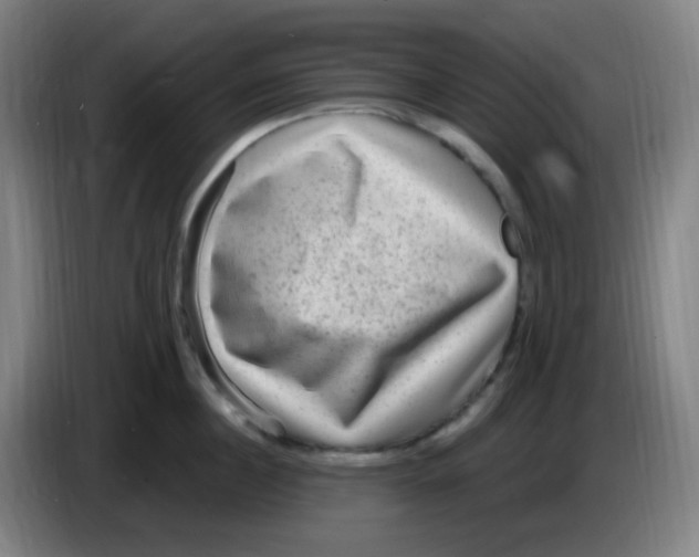 X0000085240860200703301746