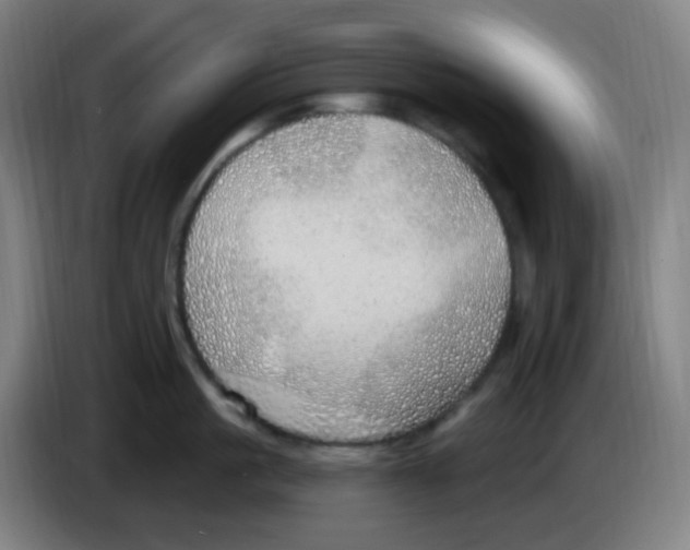 X0000085240861200703301746