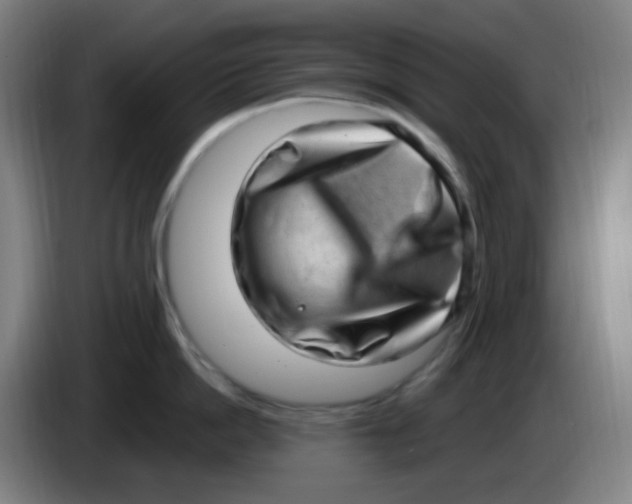 X0000085240862200703301746