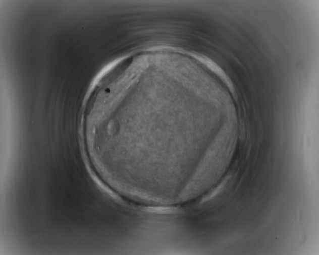 X0000085240863200703301746