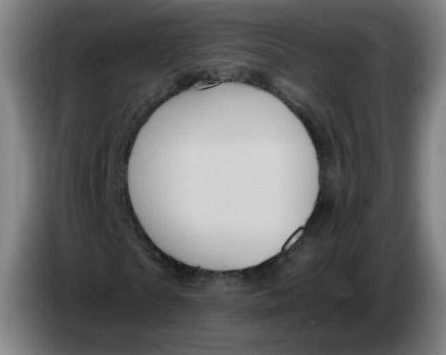 X0000085240865200703301745