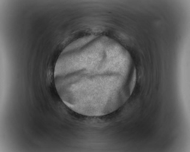 X0000085240866200703301745