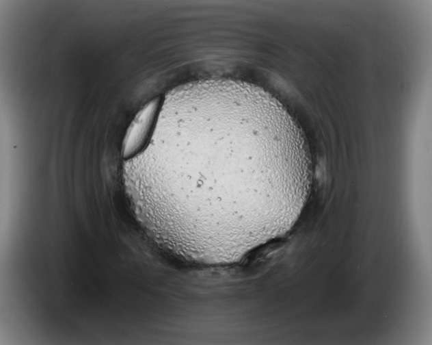 X0000085240867200703301745