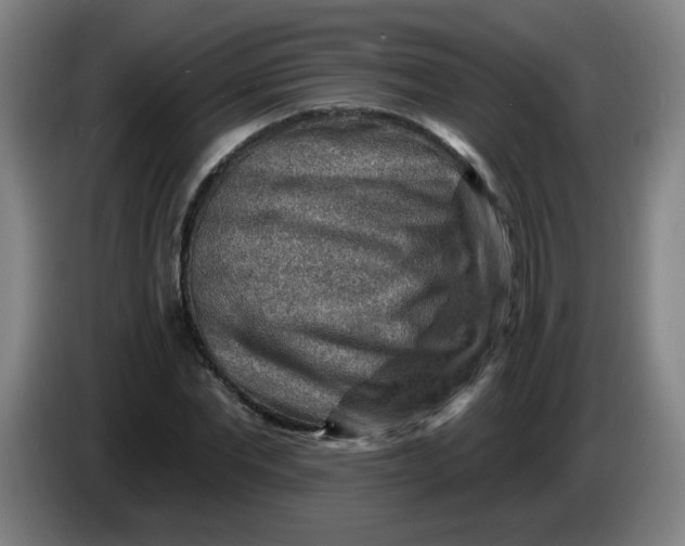 X0000085240877200703301745