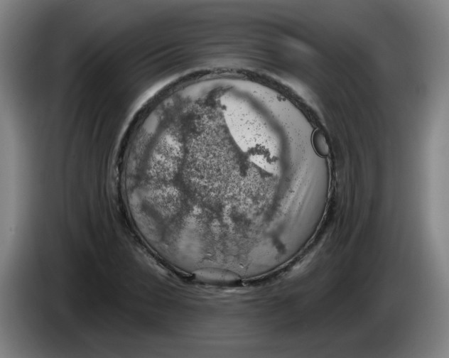 X0000085240879200703301745
