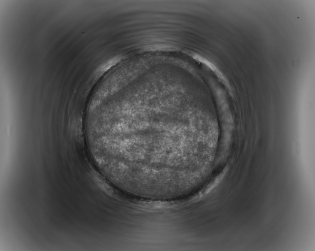 X0000085240881200703301745