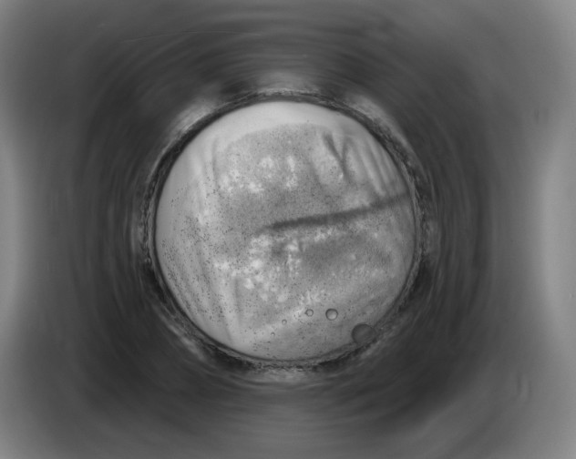 X0000085240882200703301745