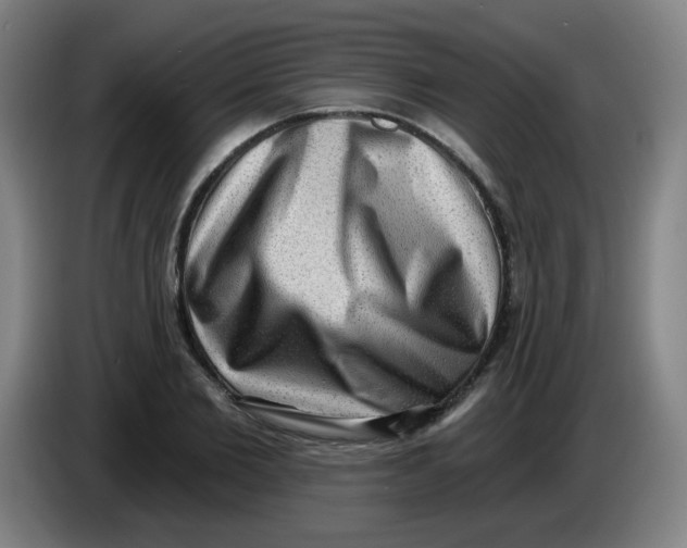 X0000085240885200703301745