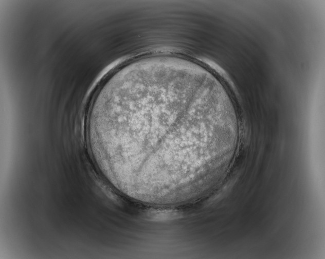 X0000085240886200703301745