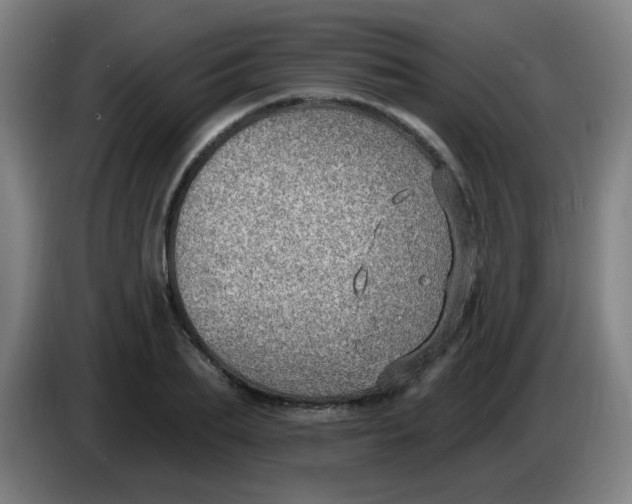 X0000085240887200703301745