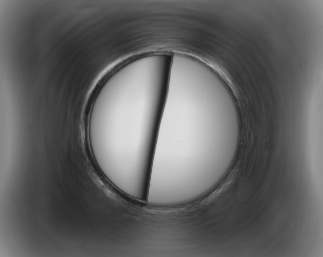 X0000085240888200703301745