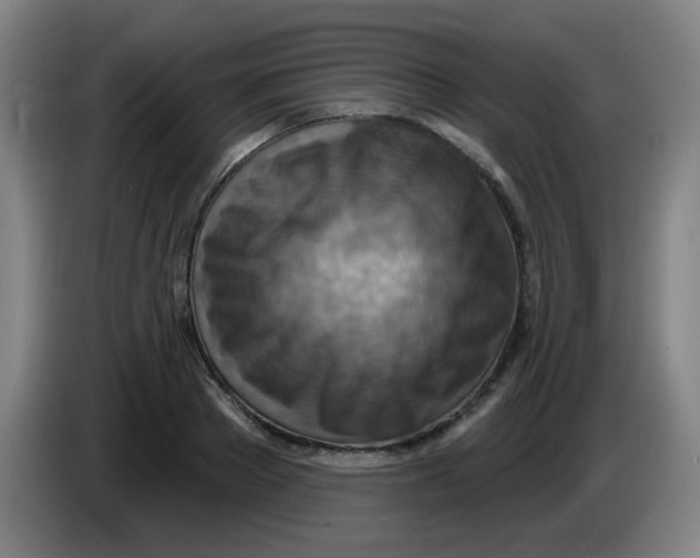 X0000085240889200703301745