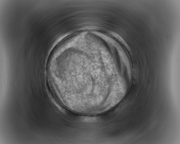 X0000085240890200703301745