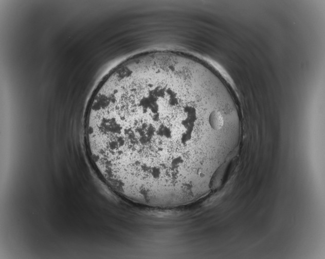 X0000085240895200703301745