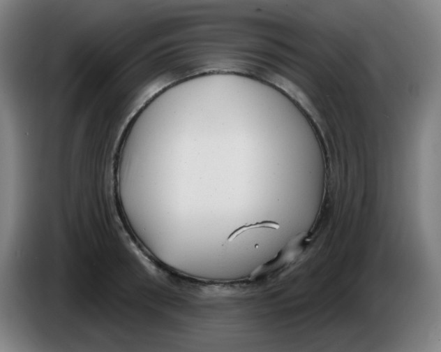 X0000085240898200703301745