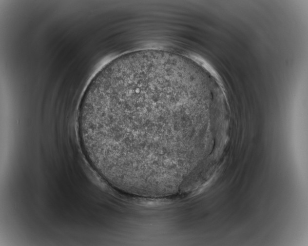 X0000085240899200703301745