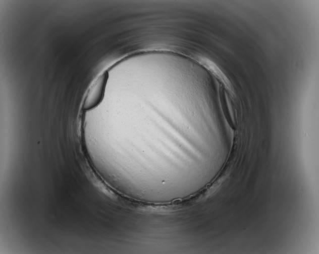 X0000085240900200703301745