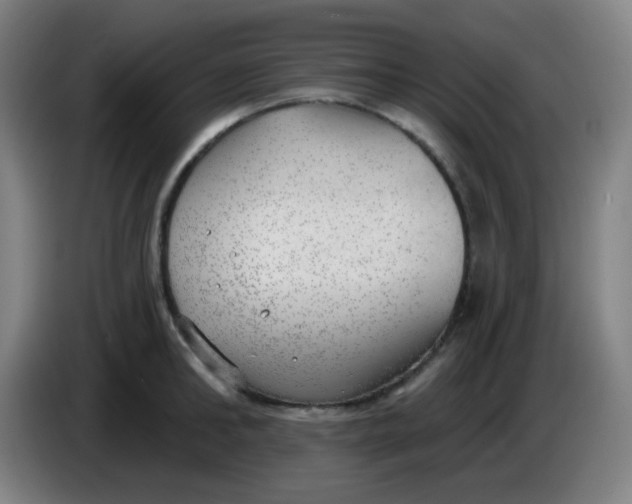 X0000085240902200703301745