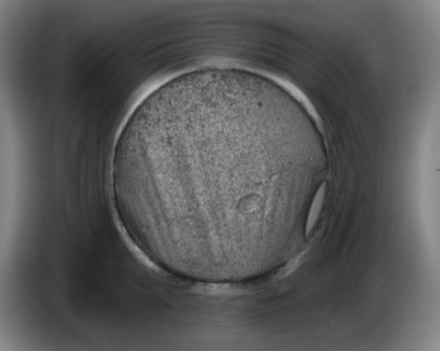 X0000085240903200703301745