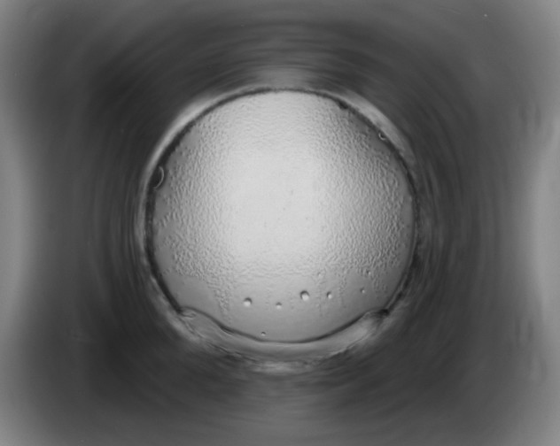 X0000085240904200703301745