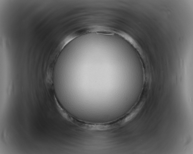 X0000085240905200703301745