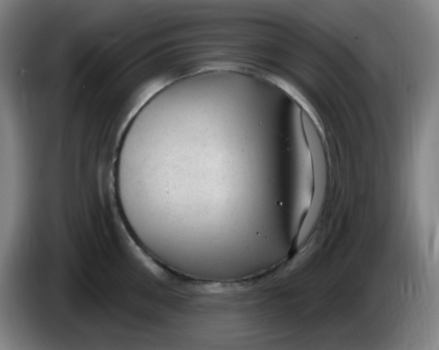 X0000085240906200703301745