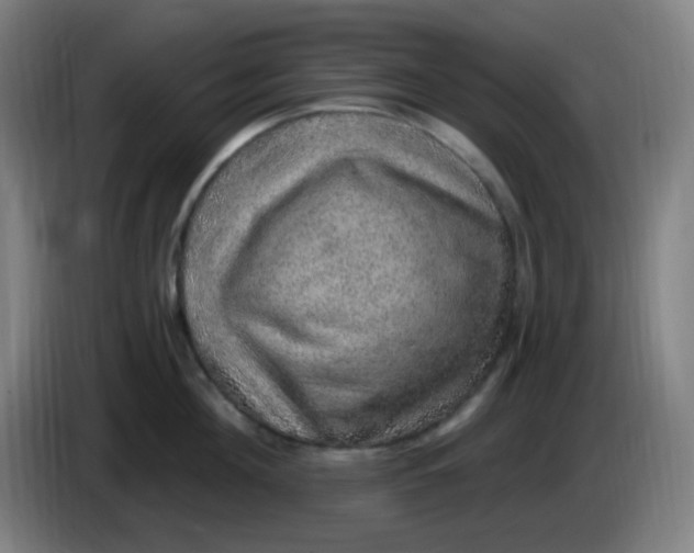 X0000085240908200703301745