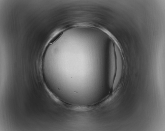 X0000085240909200703301745
