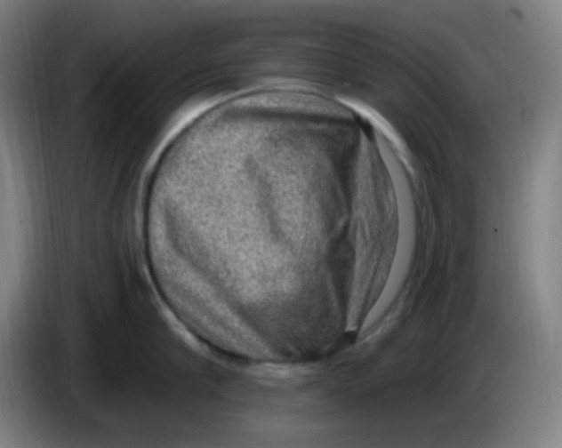 X0000085240910200703301745