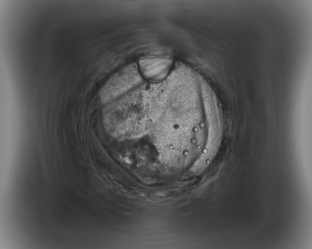 X0000085240913200703301744