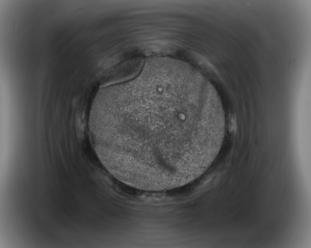 X0000085240915200703301744