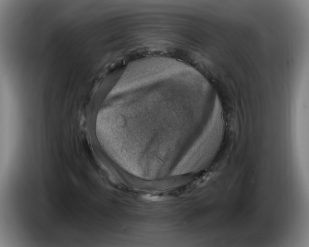 X0000085240916200703301744