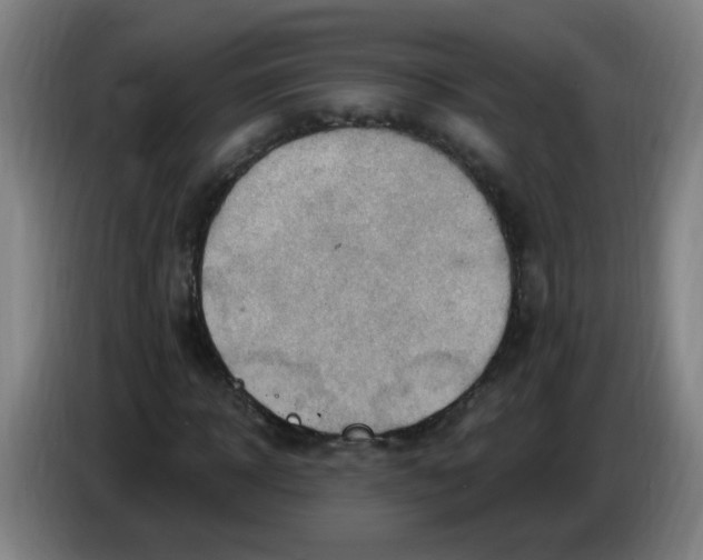 X0000085240918200703301744