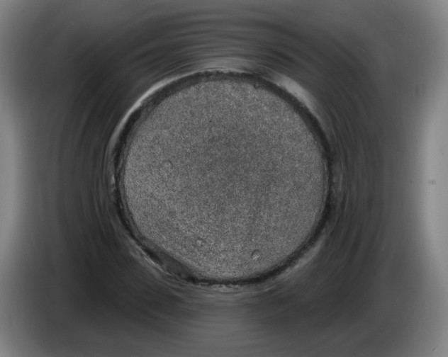 X0000085240923200703301744