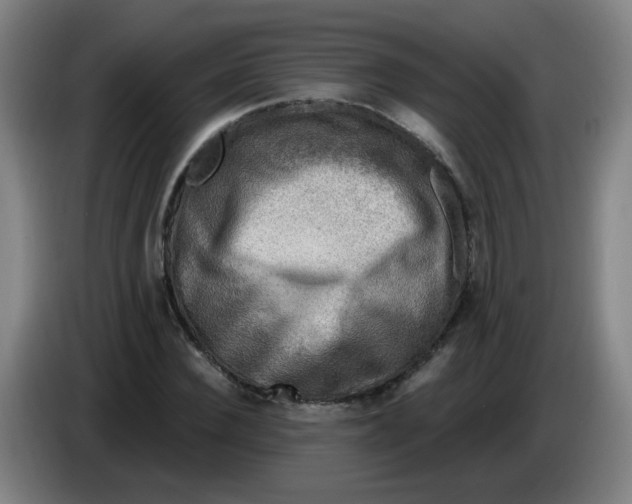X0000085240924200703301744