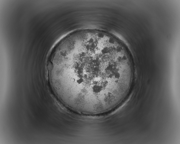 X0000085240925200703301744