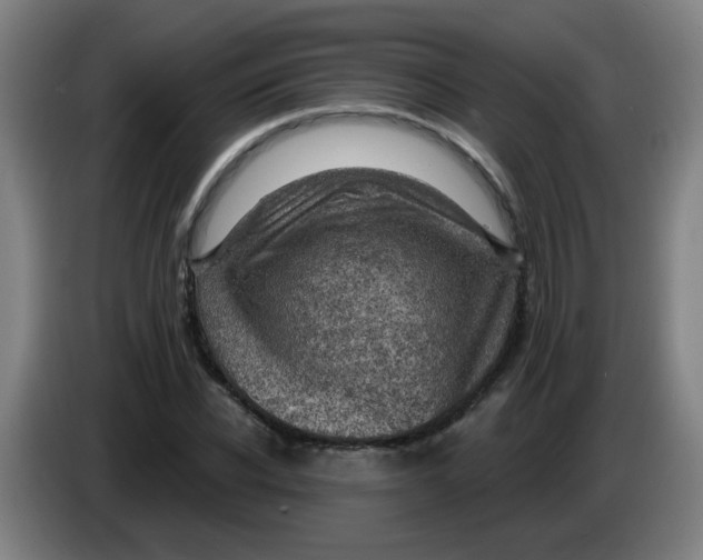 X0000085240926200703301744