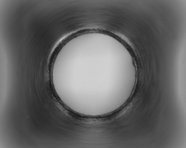 X0000085240927200703301744