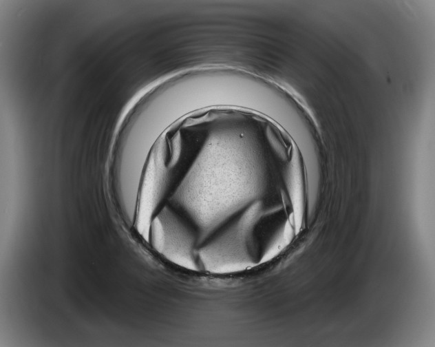 X0000085240928200703301744