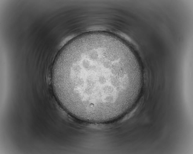 X0000085240929200703301744