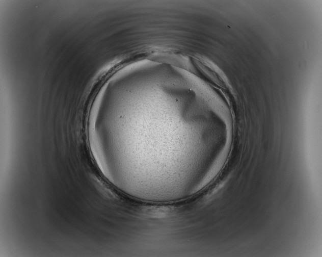 X0000085240930200703301744